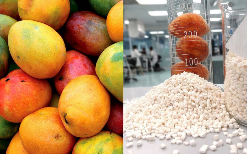 El mango sigue siendo uno de los productos alimentarios que se producen de forma estable
