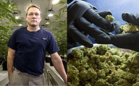 Las inversiones en el mercado de los “cannabis” se vuelven cada vez más atractivas