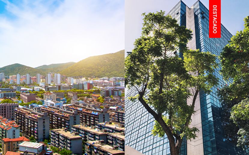 El crecimiento que ha tenido el mercado inmobiliario secundario en Venezuela