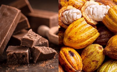 El chocolate convirtió en una opción rentable para el emprendedor venezolano